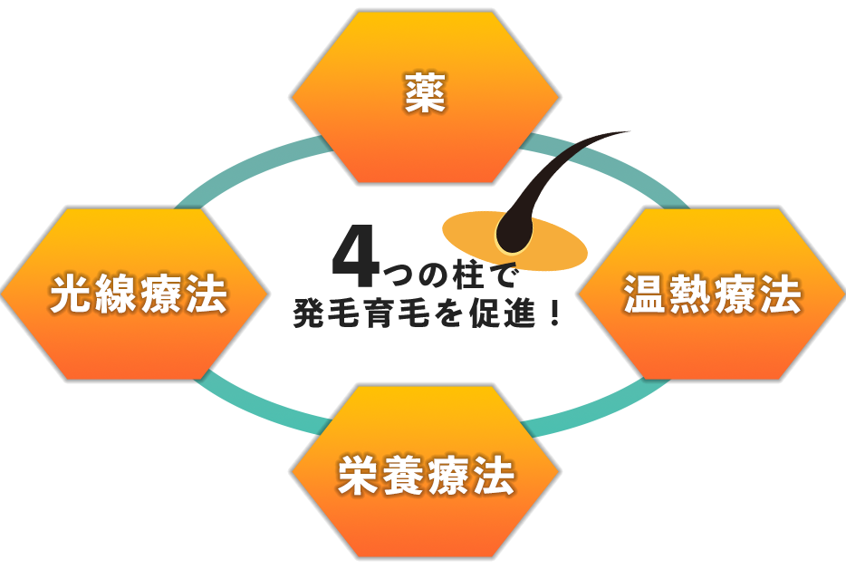 4つの柱で発毛育毛を促進！