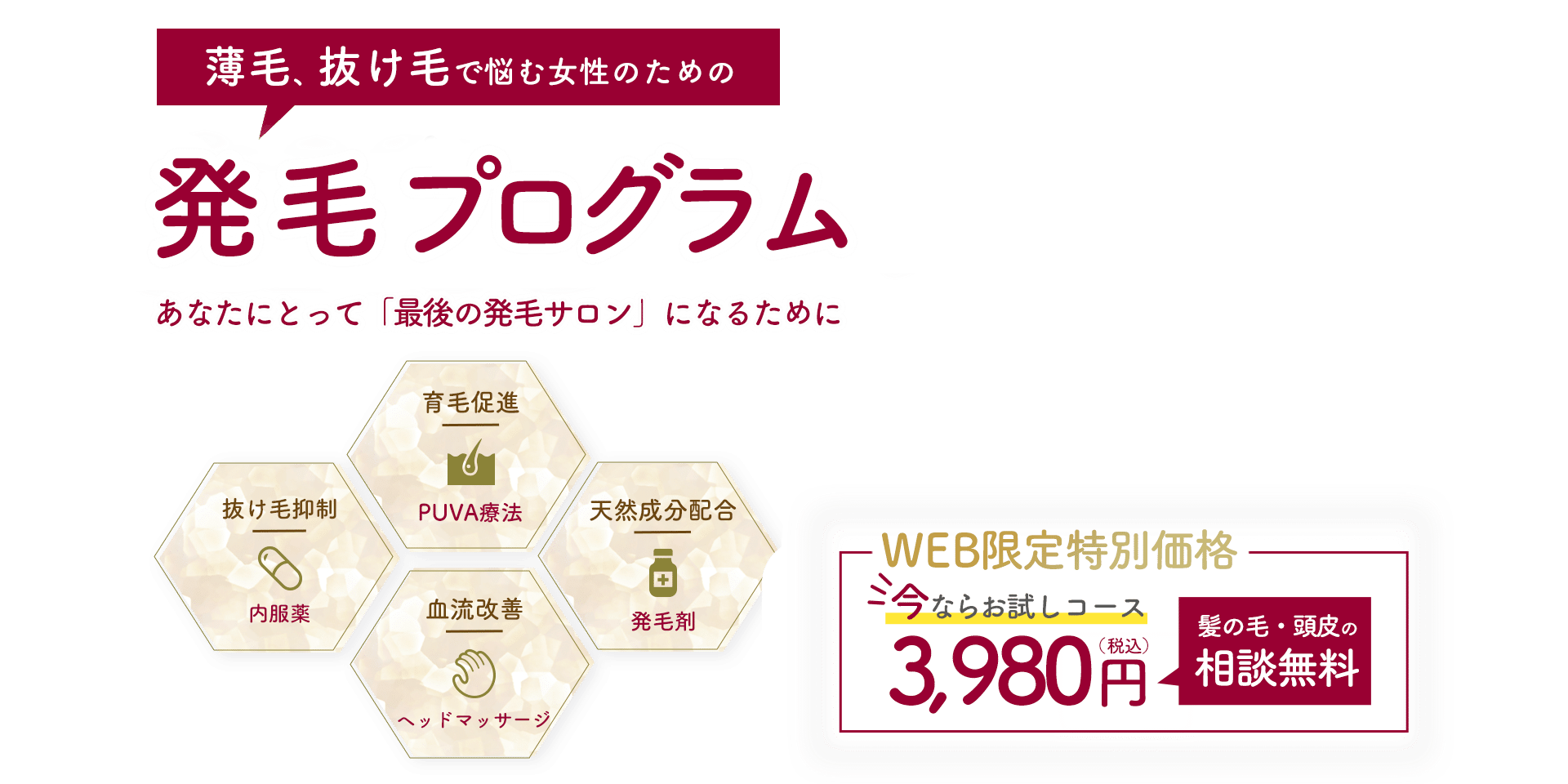 完全発毛プログラム