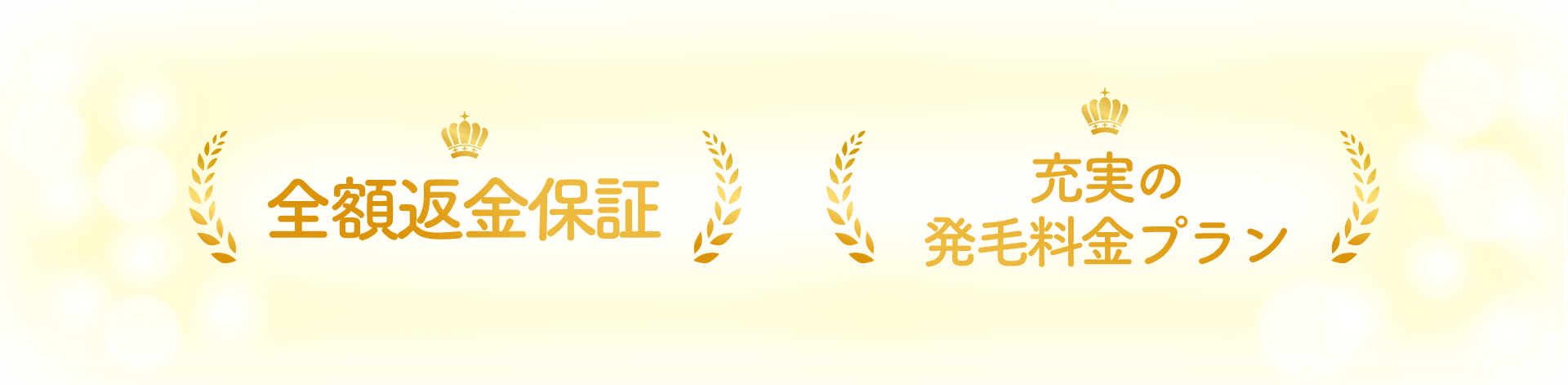 全額返金保証 充実の発毛料金プラン